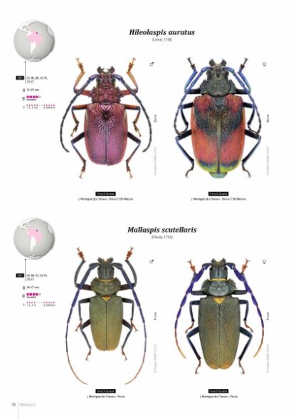 Prioninae of the World I