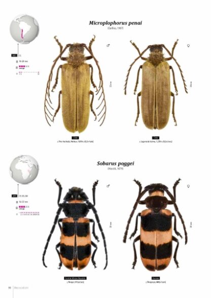 Prioninae of the World I