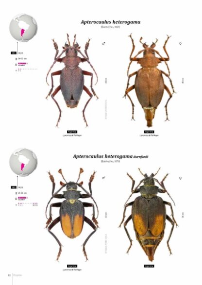 Prioninae of the World I