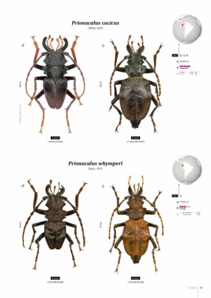 Prioninae of the World I