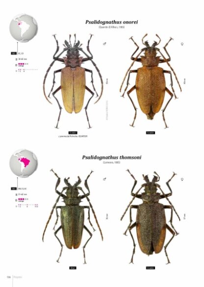 Prioninae of the World I
