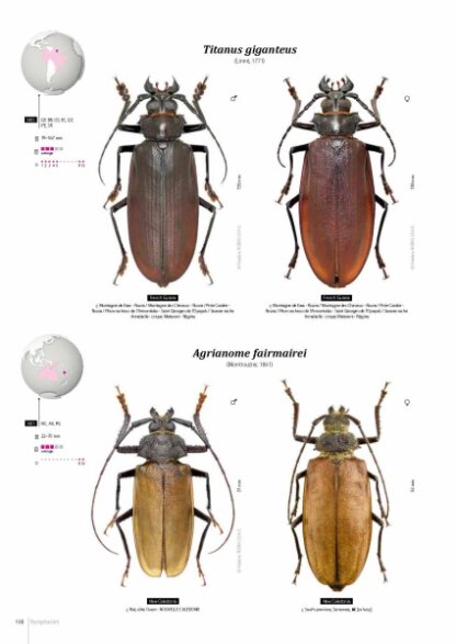 Prioninae of the World I