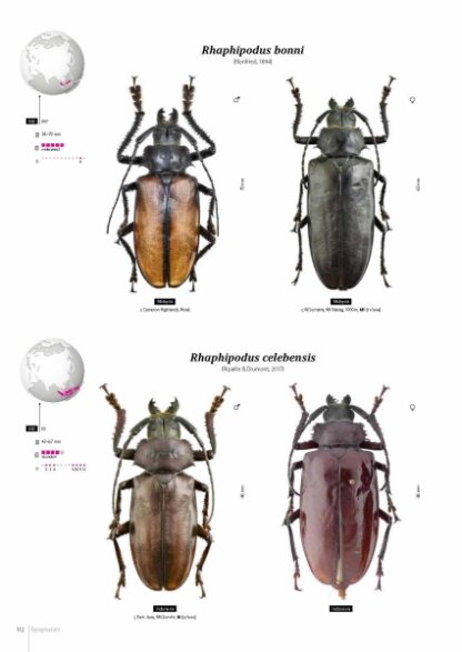 Prioninae of the World I