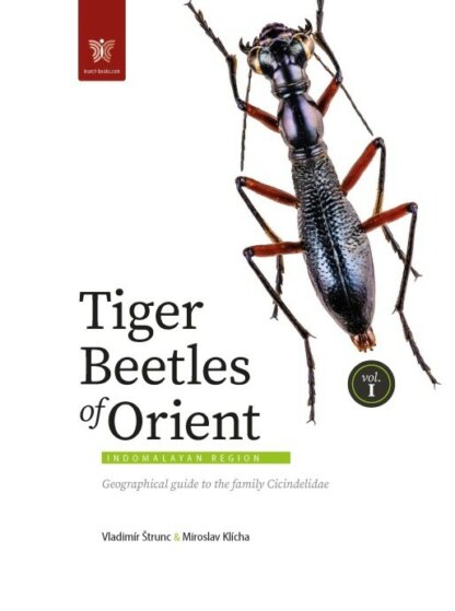 Tiger Beetles of Orient